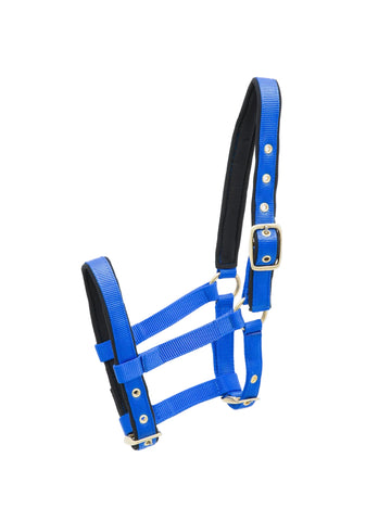Kieffer Nylon-Foal Collection Halter