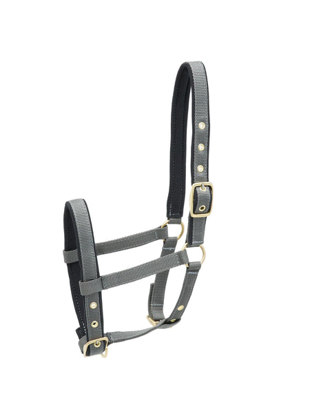 Kieffer Nylon-Foal Collection Halter