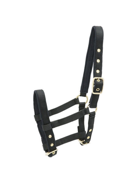 Kieffer Nylon-Foal Collection Halter