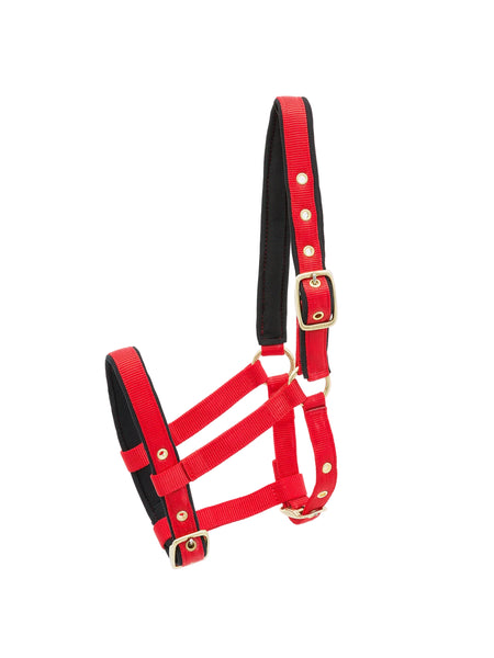 Kieffer Nylon-Foal Collection Halter