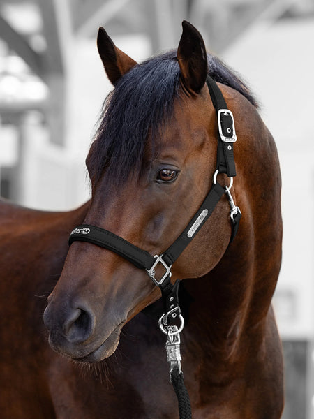 Kieffer Satin Shine Halter