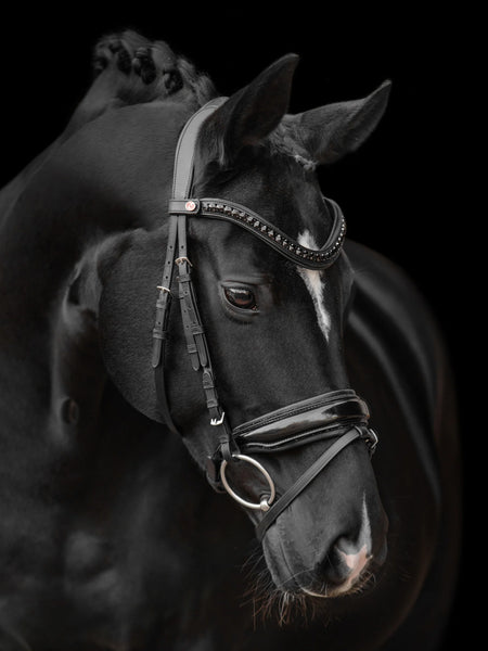 Kieffer Onyxa Snaffle Bridle