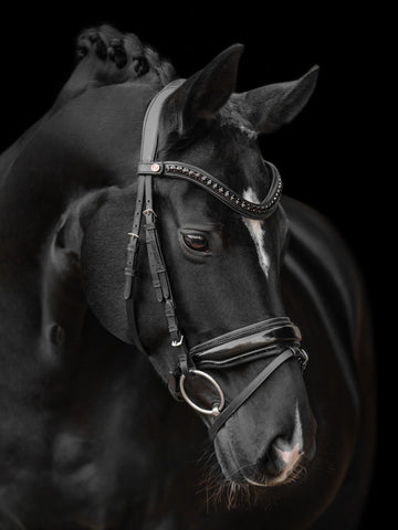 Kieffer Onyxa Snaffle Bridle