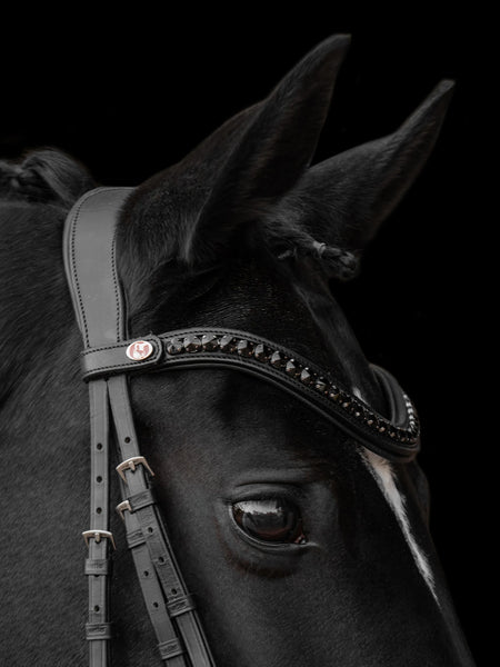 Kieffer Onyxa Snaffle Bridle