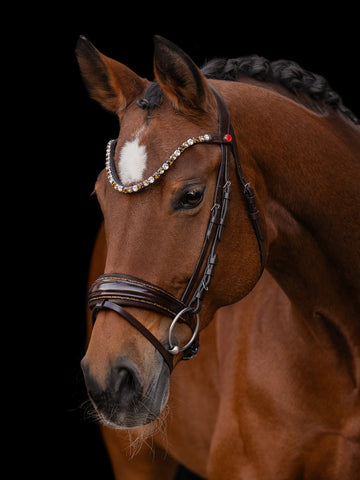 Kieffer Hazel Snaffle Bridle