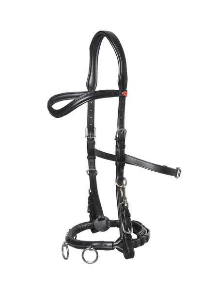 Kieffer Ultrasoft Cavesson Lunge