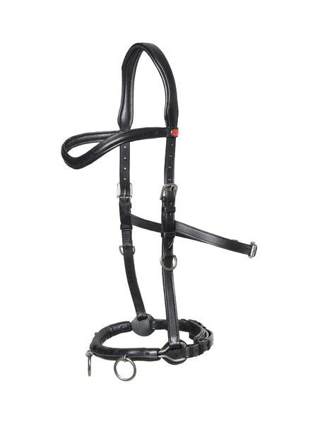 Kieffer Ultrasoft Cavesson Lunge