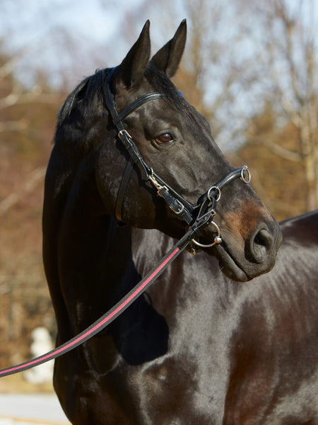 Kieffer Ultrasoft Cavesson Lunge