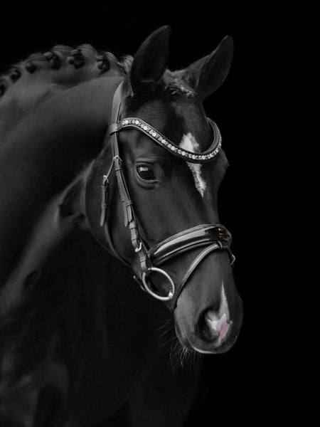 Kieffer Lucy Snaffle Bridle