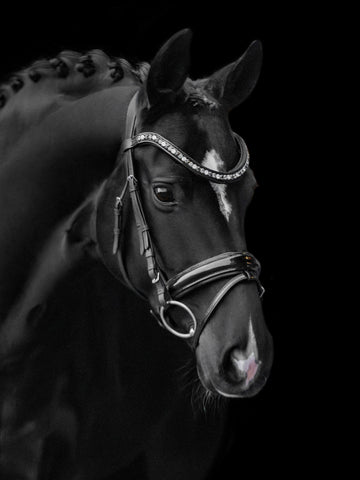 Kieffer Lucy Snaffle Bridle