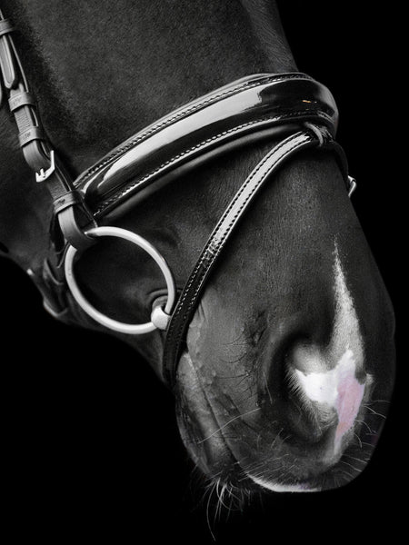 Kieffer Lucy Snaffle Bridle