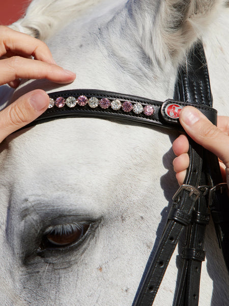 Kieffer FlexiLoop Crystal Clear Browband