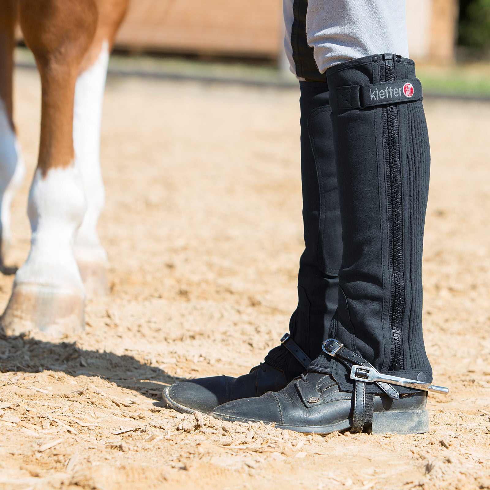 Chaps QHP Shimmer Zwart - Eppleck Chaps QHP Shimmer Zwart - Eppleck