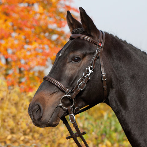 Kieffer Walking Trail Snaffle bridle