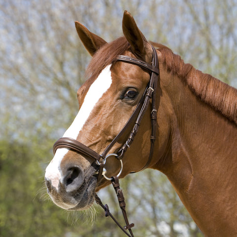 Kieffer Olivia Ergonomic Snaffle Bridle