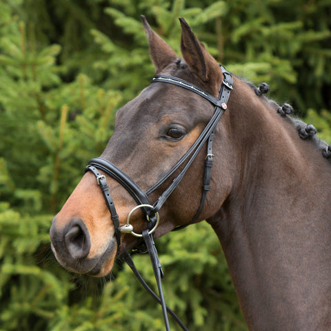 Kieffer Anja Snaffle Bridle
