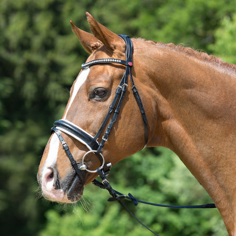 Kieffer Comfort Lyon Snaffle Bridle