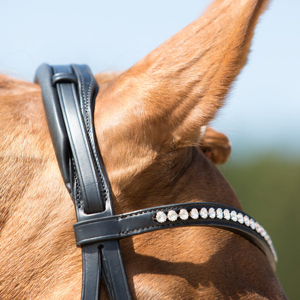 Kieffer Comfort Lyon Snaffle Bridle