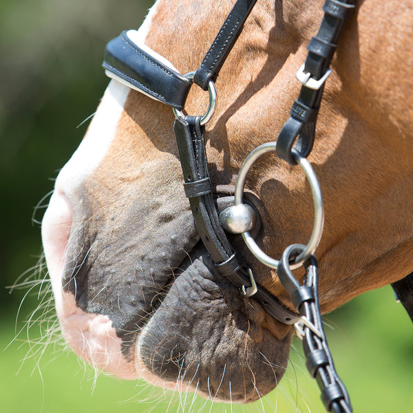 Kieffer Comfort Lyon Snaffle Bridle