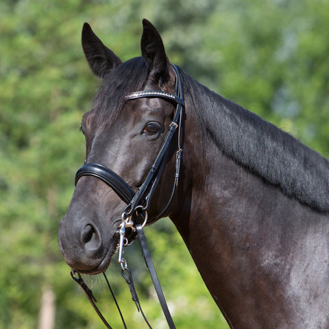 Kieffer Comfort Lyon Double Bridle