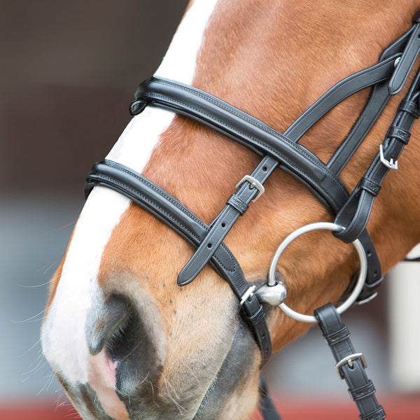 Variant 2: combination of flash and hanoverian noseband