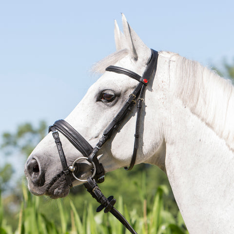 Kieffer Ultrasoft® Economy Snaffle Bridle