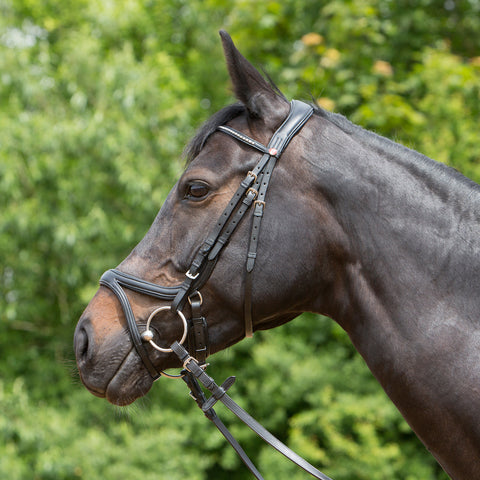 Kieffer Ultrasoft® Tara Snaffle Bridle