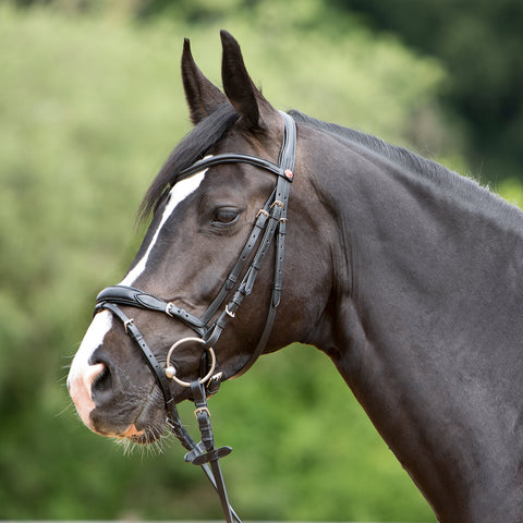 Kieffer Ultrasoft® Katy Snaffle Bridle