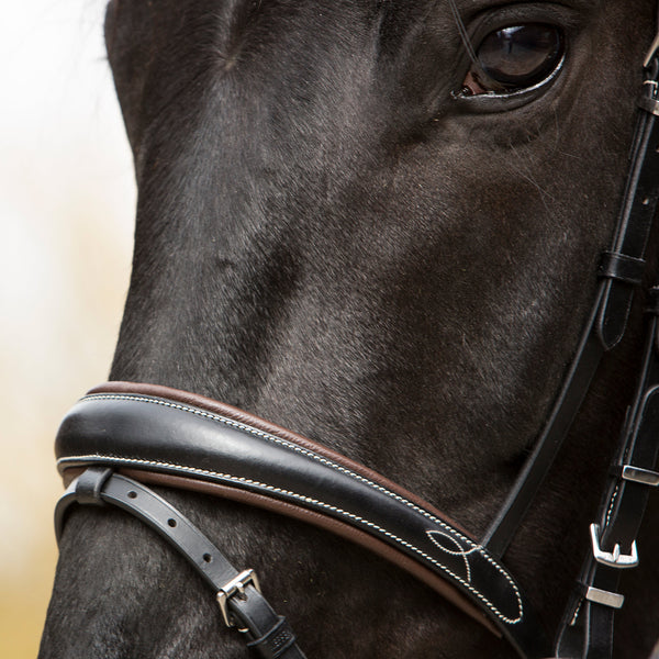 Kieffer Vera Snaffle Bridle
