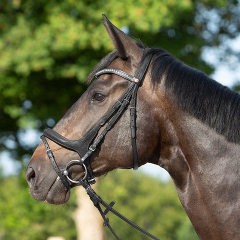 Kieffer Ultrasoft® Celia Snaffle Bridle
