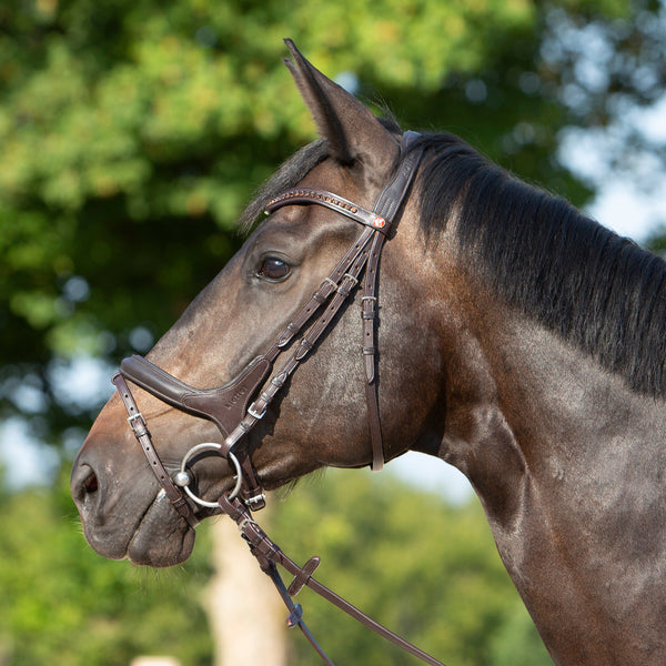Kieffer Ultrasoft® Celia Snaffle Bridle