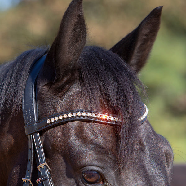 Kieffer Ultrasoft® Sue Snaffle Bridle