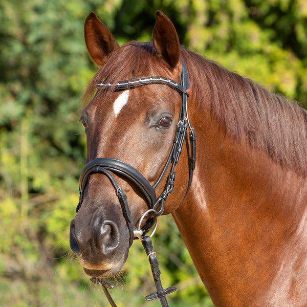Kieffer Ultrasoft® Economy II Snaffle Bridle
