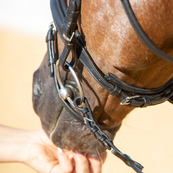 Kieffer Ultrasoft® Economy II Snaffle Bridle