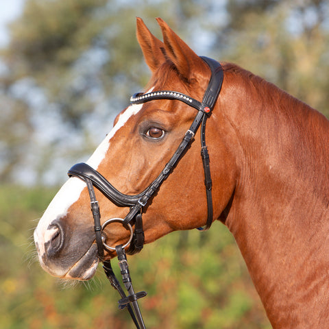 Kieffer Ultrasoft® Amy Snaffle Bridle