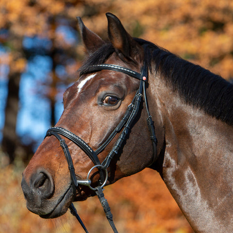 Kieffer Martina Snaffle Bridle