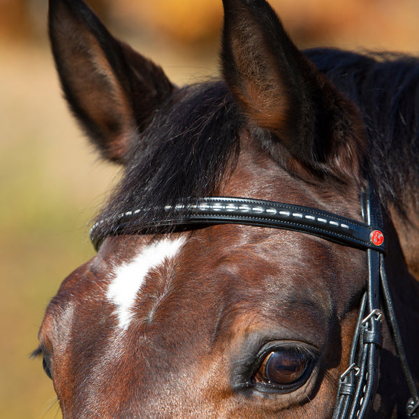 Kieffer Martina Snaffle Bridle