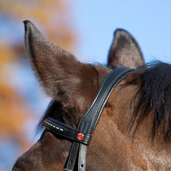 Kieffer Martina Snaffle Bridle