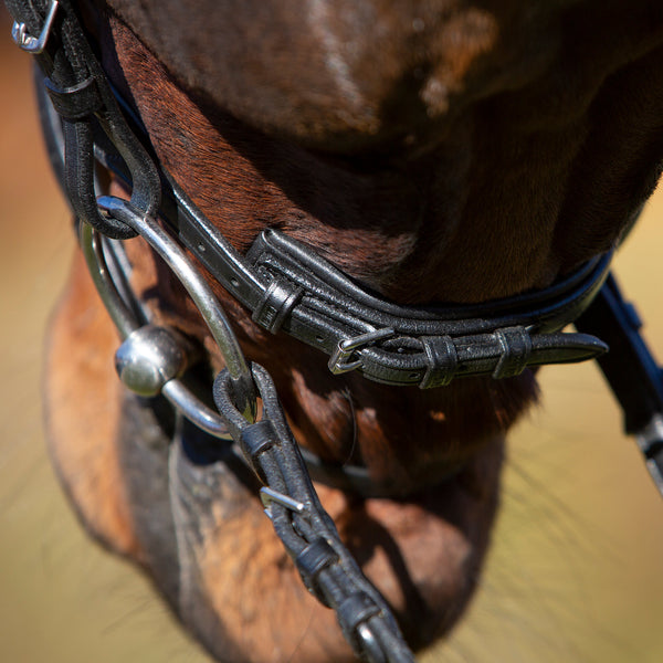 Kieffer Martina Snaffle Bridle