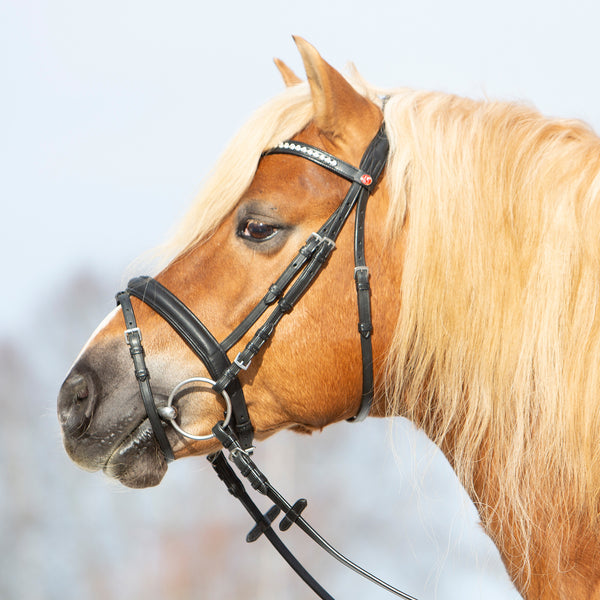 Kieffer Ultrasoft® Haflinger Snaffle Bridle