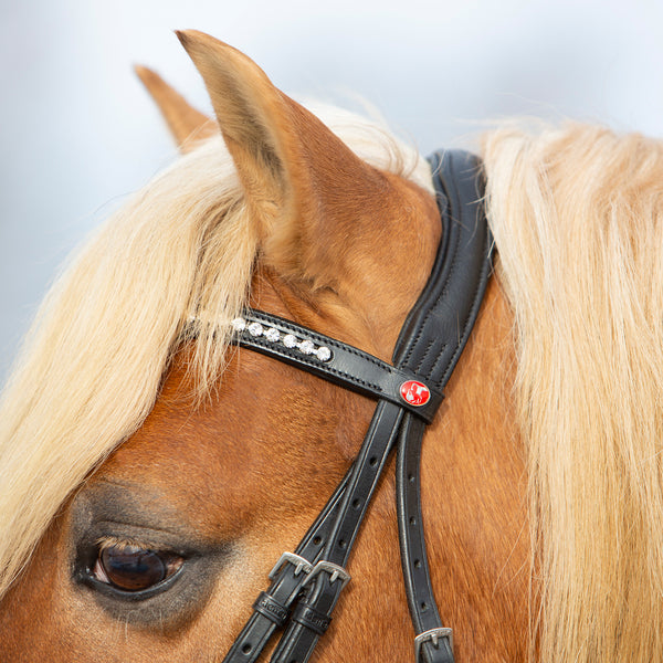 Kieffer Ultrasoft® Haflinger Snaffle Bridle
