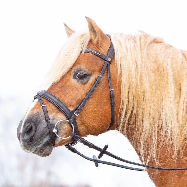 Kieffer Ultrasoft® Haflinger Snaffle Bridle