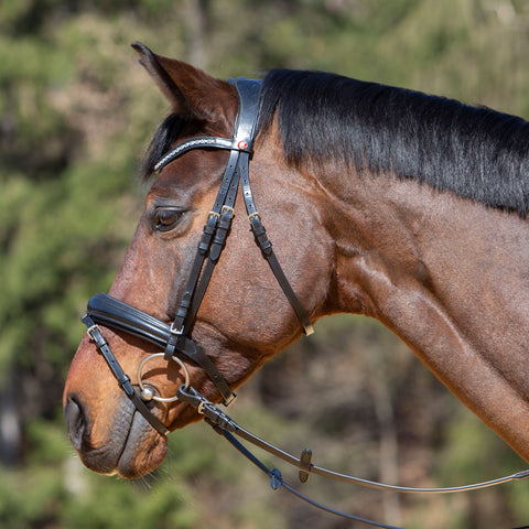 Kieffer Michelle Snaffle Bridle