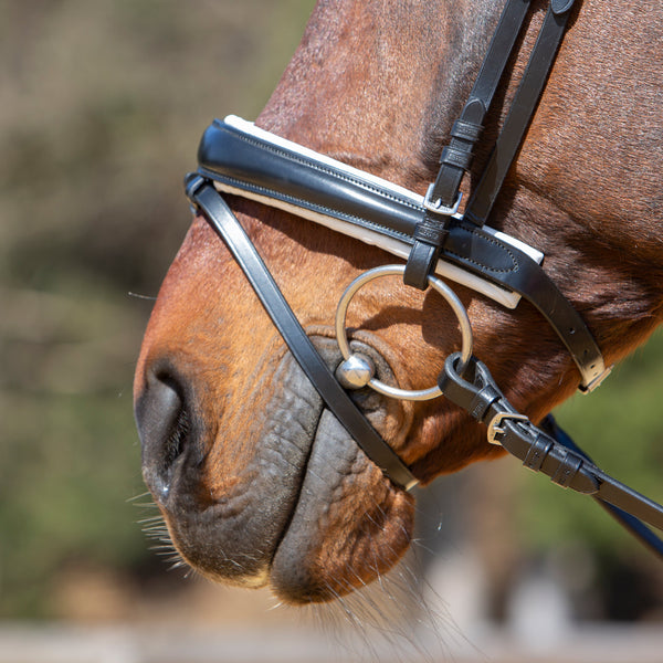 Kieffer Michelle Snaffle Bridle