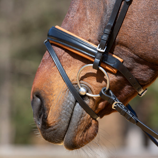 Kieffer Michelle Snaffle Bridle