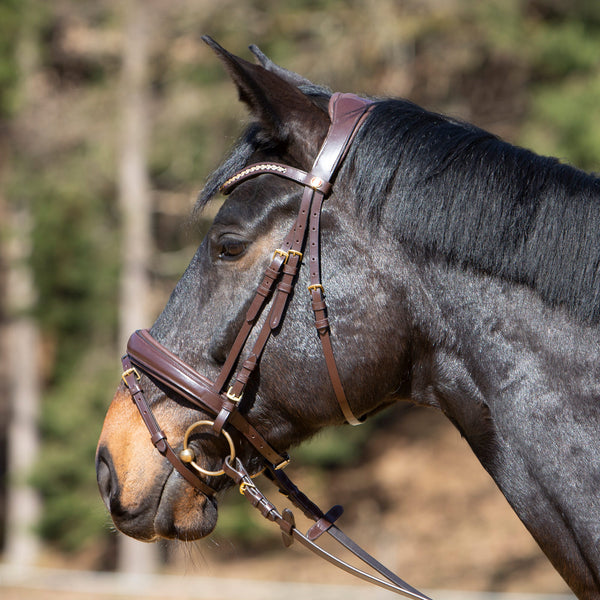 Kieffer Michelle Snaffle Bridle