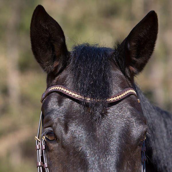 Kieffer Michelle Snaffle Bridle
