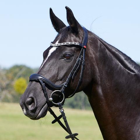 Kieffer Viola Snaffle Bridle