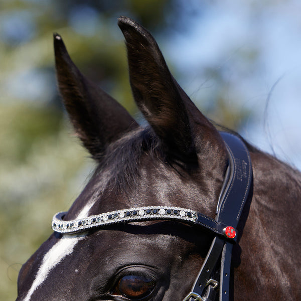 Kieffer Viola Snaffle Bridle