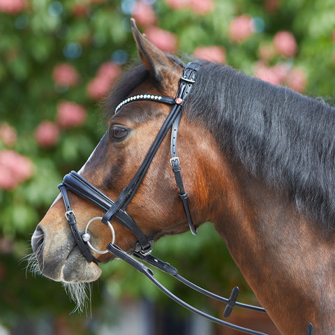 Kieffer Sylvie Snaffle Bridle